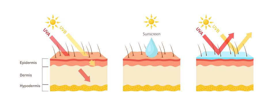 SPF Testing for Cosmetics, UVA and UVB protection diagram showing SPF effectiveness